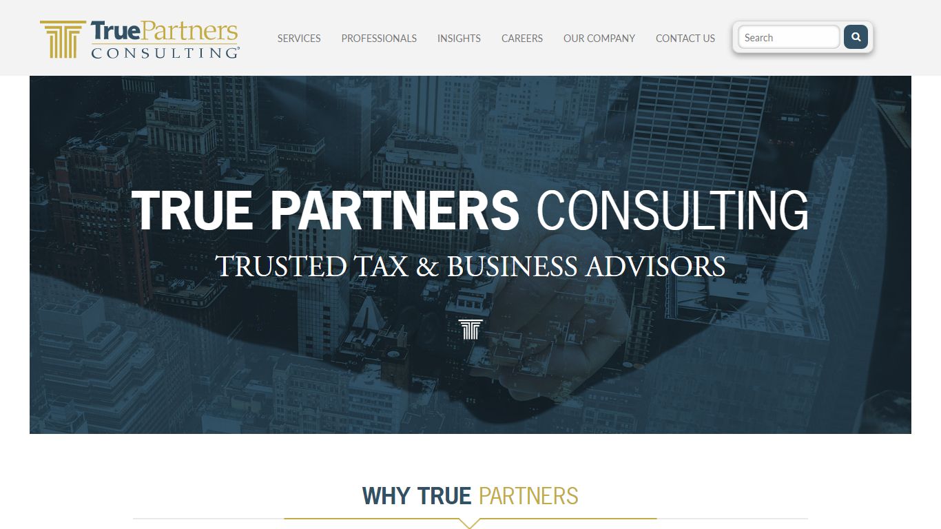 Home | True Partners Consulting